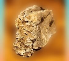 Baryte rose petrified for sale  Colorado Springs