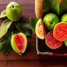 Lemon apple pink for sale  Lincolnton