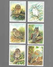 Cigarette trade cards. for sale  HONITON