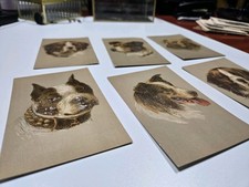 äußerst seltene postkartensa gebraucht kaufen  Deutschland