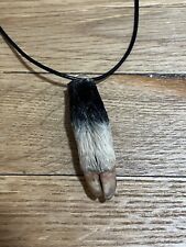 Real wild boar for sale  New York