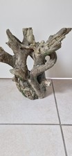 Aquarium deko baum gebraucht kaufen  Neumünster
