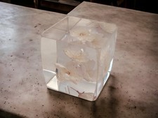 Cube plexiglass presse d'occasion  Cannes