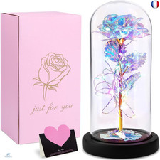 Frasheng rose eternelle d'occasion  Paris VI