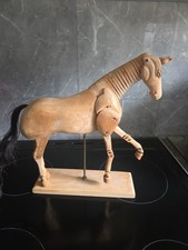 Figura cavallo anatomico usato  Spedire a Italy