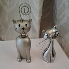 Sitting cute cats for sale  LEEDS