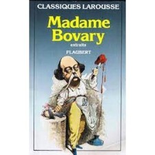 Livre madame bovary d'occasion  Versailles