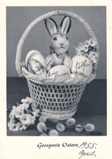 steiff hase gebraucht kaufen steiff hase gebraucht kaufen Einbeck