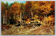Northwestern maine caterpillar for sale  Paris