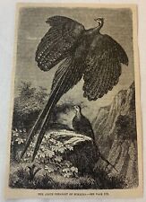 1877 magazine engraving for sale  Wilmington