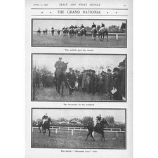 Grand national horse for sale  GLASGOW