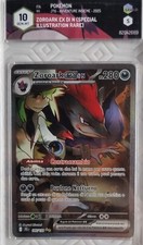Zoroark 185 159 usato  Mondovi