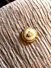 Capsule champagne grumier d'occasion  Rouxmesnil-Bouteilles