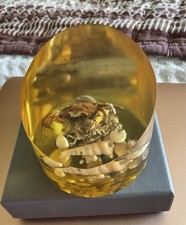 Amber lucite paperweight for sale  MILTON KEYNES