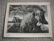 Ewe lamb limited for sale  BEXHILL-ON-SEA
