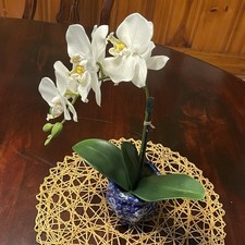 Realistic artificial orchid for sale  Camden
