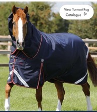 Premier equine titan for sale  PETERBOROUGH
