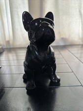 French bulldog frenchie for sale  Clemmons