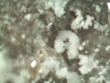 Kaolinite millerite rara usato  Grizzana Morandi