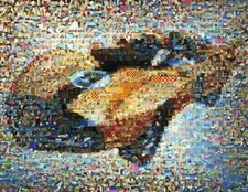 Amazing speed racer for sale  USA