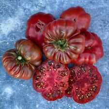 Tomate purple calabash gebraucht kaufen  Oldenburg (Oldenburg)