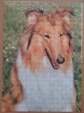 Puzzle collie hund gebraucht kaufen  Burg