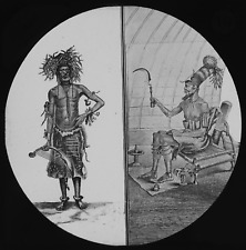 Central africa native for sale  HAYLE