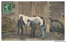 Absp10 0736 agriculture d'occasion  Expédié en Belgium
