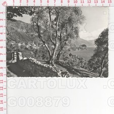 G8879 lecco oliveto usato  Como