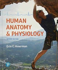 Usado, Human Anatomy & Physiology (Masteringa&p) - Hardcover, by Amerman Erin - Good comprar usado  Enviando para Brazil