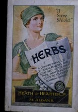 Old heath heather for sale  KIRKCALDY