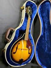 2021 epiphone 30as for sale  Drain