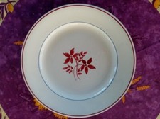 Plat rond plat d'occasion  France
