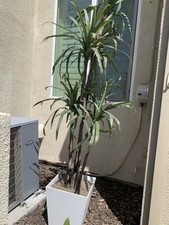 7ft artificial decorative for sale  Sacramento