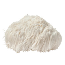 lions mane for sale  Shipping to Ireland