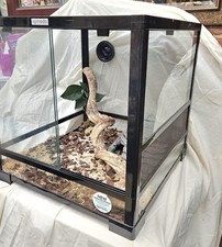 Komodo vivarium 45cm for sale  NOTTINGHAM