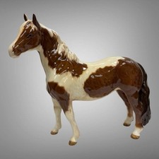 Beswick pinto skewbald for sale  Minneapolis