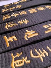 Tekka budo schwarzgurt gebraucht kaufen  Bohmte