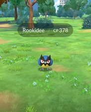 30x Rookidee Trade/PTC Pokémon Go comprar usado  Enviando para Brazil