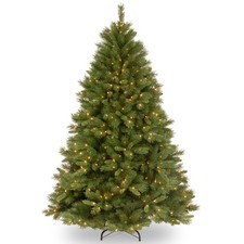 National tree company for sale  USA