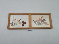 Bilder trockenblumen blätter gebraucht kaufen  Burgstädt