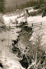 Zueschen sauerland bachlauf gebraucht kaufen  Deutschland