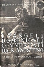 63179 vangeli domenicali usato  San Benedetto del Tronto