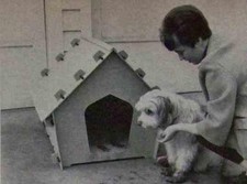 Knockdown dog house for sale  Diamond Point