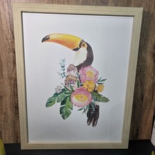 Toucan framed wall for sale  Independence