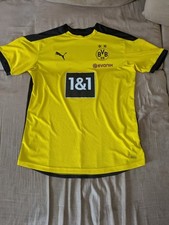 Bvb borussia dortmund gebraucht kaufen  Heuchelheim