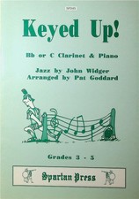 Keyed c clarinet for sale  DULVERTON