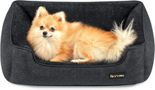 Cuccia per cani usato  Roma