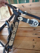 horse show halter for sale horse show halter for sale Taylors