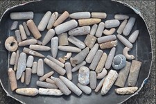 Rar konvolut fossilien gebraucht kaufen  Völklingen